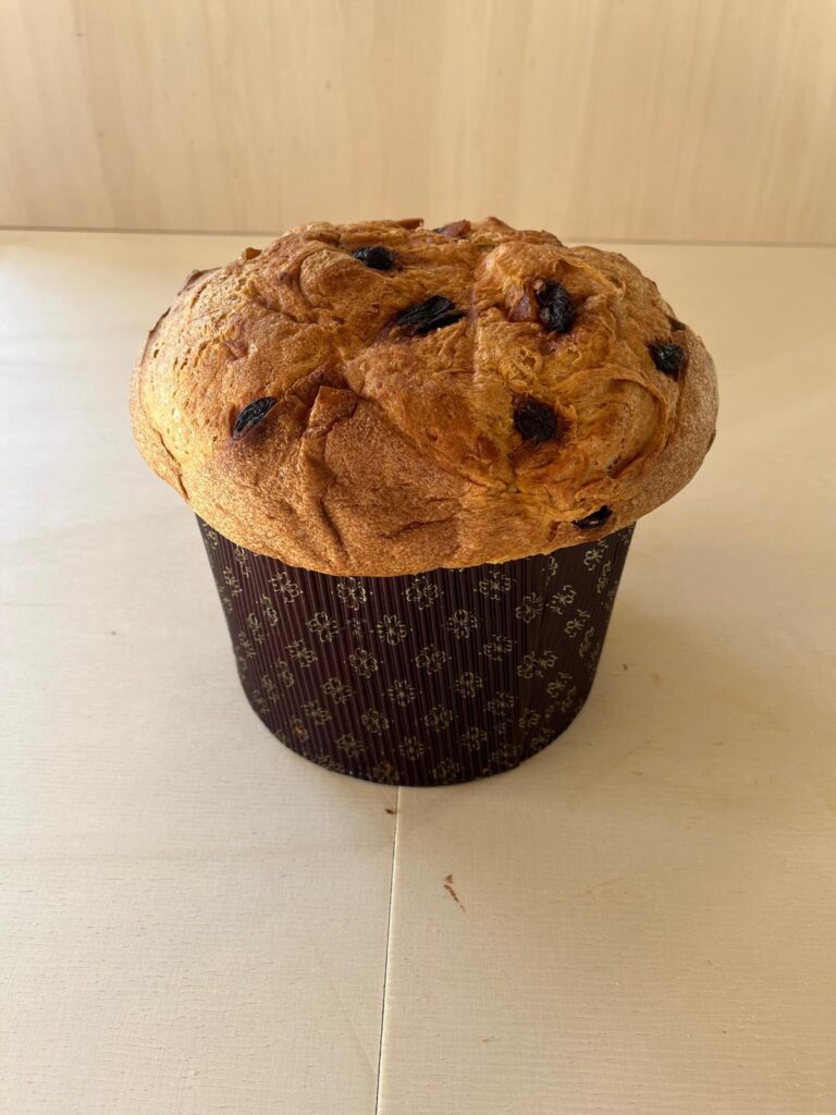 Panettone Classico - Senza Lattosio